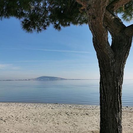 Meze, Charmant Petit Studio Proche Port Dış mekan fotoğraf