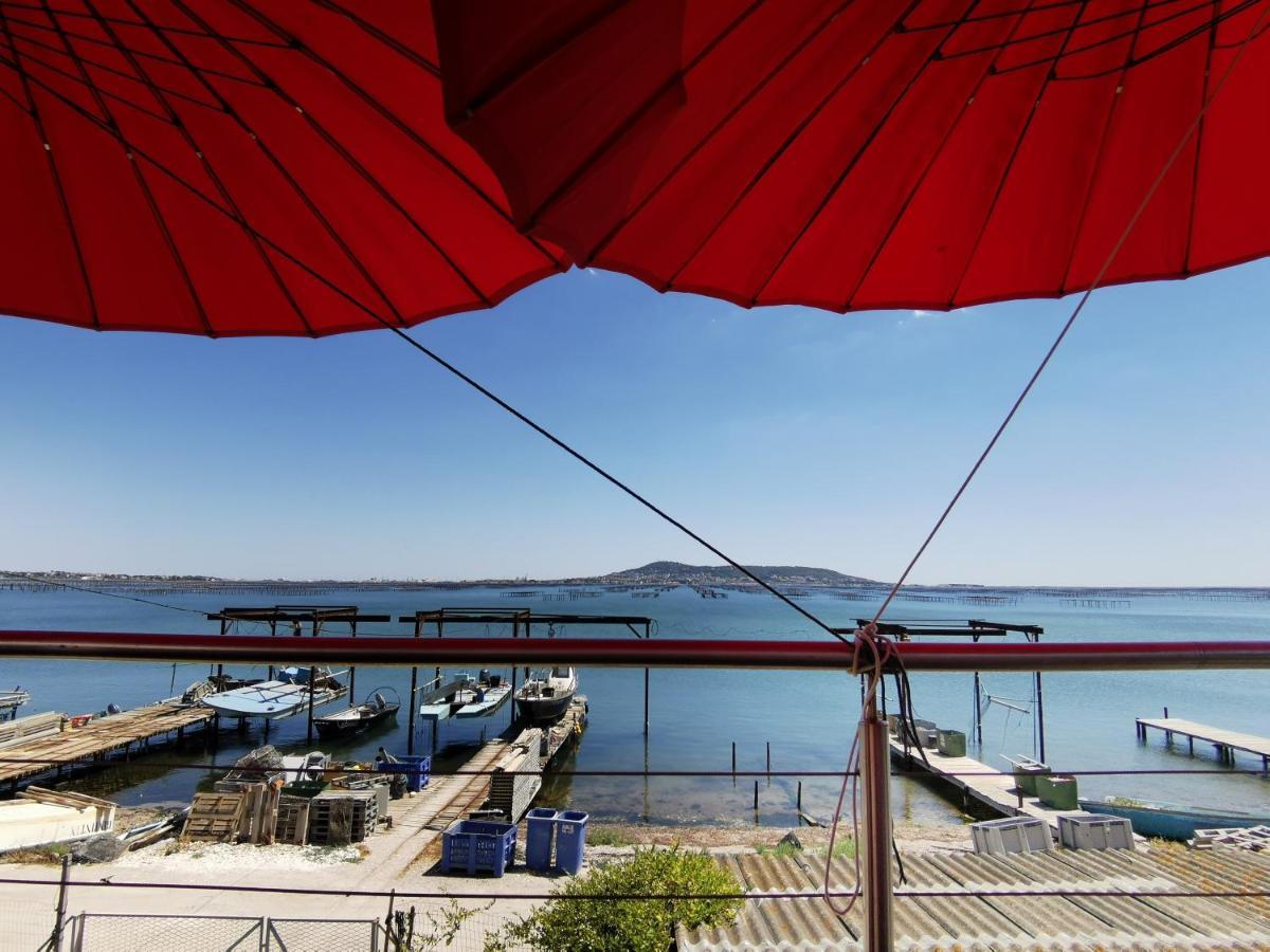 Meze, Charmant Petit Studio Proche Port Dış mekan fotoğraf