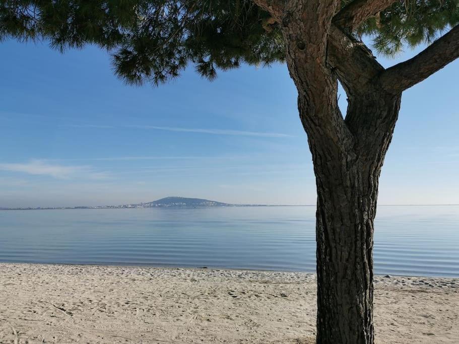 Meze, Charmant Petit Studio Proche Port Dış mekan fotoğraf